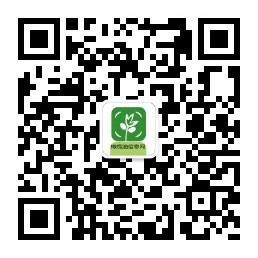 橄榄油信息网公众号