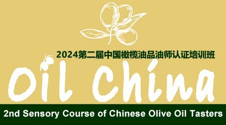 2024 Sensory Course of Chinese Olive Oil Tasters