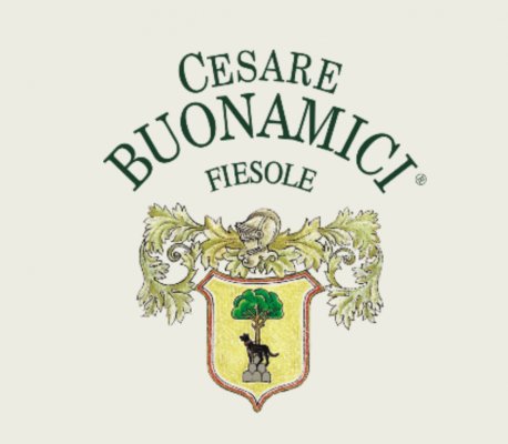 BUONAMICI SALUTARIS OLIO EVO BIOLOGICO IGP