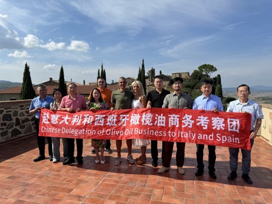 Business Opportunities from 2024 Chinese Delegation of olive oil sector to Italy and Spain